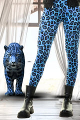 Leggings cotton smart kitty blue