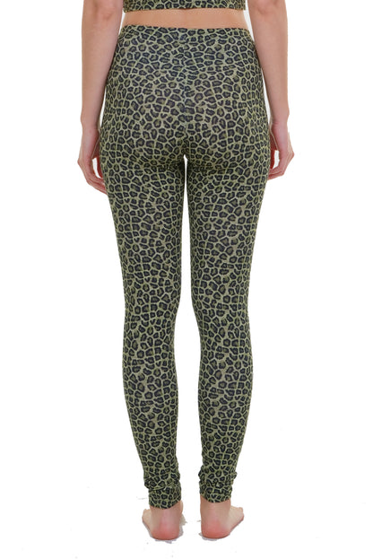 Legging coton smart kitty olive