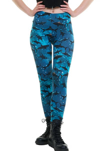 Leggings in cotone Shark Pool - XS
