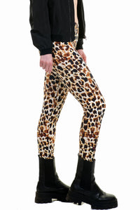 cool days legging katoen safari - XS